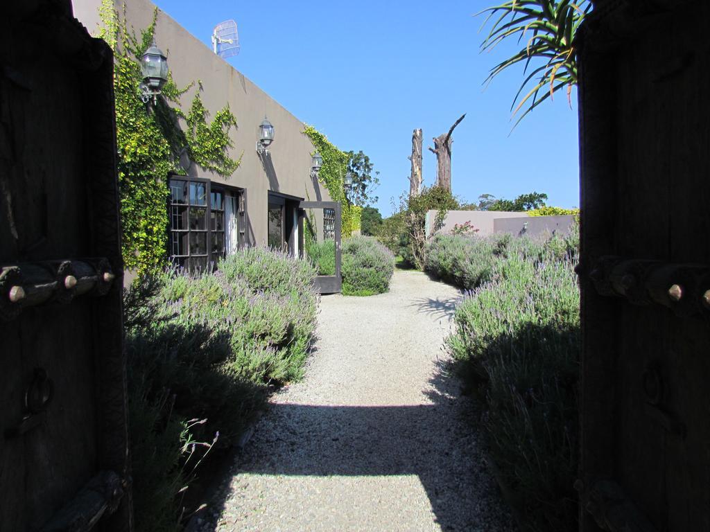 Plett River Lodge Plettenbergbaai Buitenkant foto